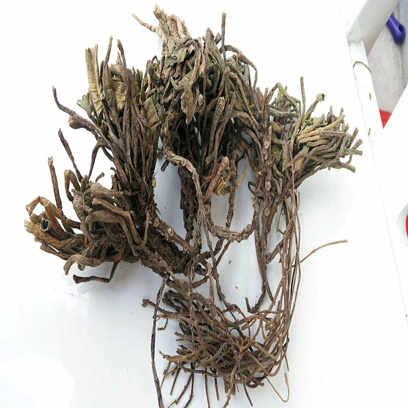 微山湖野生菱角蒂 菱角根茎 搭配四角菱角壳 新鲜干货