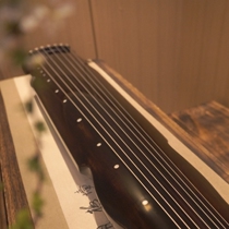 The old cedar wood catharti and guqin high face value high quality ratio professional level