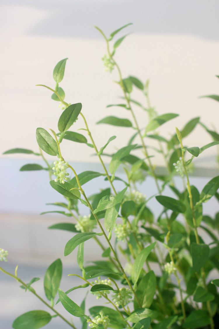 长枝仿真冬青叶枝条装饰树枝绿植物叶子文艺婚庆花艺插花配草塑料