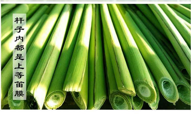 百花笛膜 笛胶 包邮 初学者 专业演奏竹笛子膜 芦苇膜 笛膜胶液体
