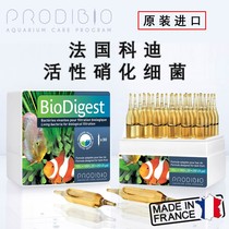 France imported Kodi active water purification Nitrifying bacteria Aquarium special high-efficiency probiotics decompose nitrite