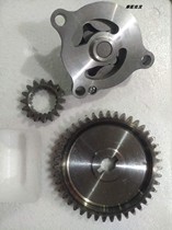 Zongshen Loncin Lifan Fu Lu Yingang Dayang horizontal 125 lightning 260 300 oil pump assembly