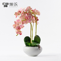Simulation butterfly orchid potted fake flower flower viewing plant indoor living room TV cabinet balcony terrace plant decoration