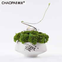 Modern simple simulation green flower art bonsai decorations interior furniture TV cabinet wine cabinet guest desktop ornaments