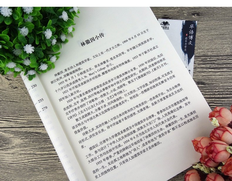 展示与对比:林徽因代表作 一片阳光 全本 林徽因小传 散文 小说 诗歌