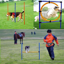 Dog training supplies Agility equipment Single pole high jump jumping circle around the pile Pet outdoor training equipment three-piece set