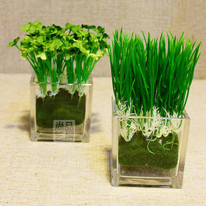 特价 促销玻璃瓶花卉方型玻璃花瓶水培瓶皿底