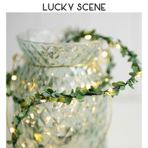 (Auspicious props) fresh forest rattan leaves LED lamp copper wire lamp ins green plant Festival garden lighting