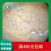 Twill armyworm eggs in stock Experimental raw measurement of Lepidoptera live insects for teaching