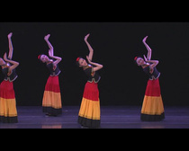 Minzu University of China Yi Dance tutorial 2DVD 1CD Folk dance teaching video