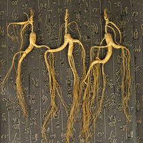Mountain ginseng Changbai Mountain wild northeast wild mountain forests Down the whole branch 15 gr left and right Soak Wine Pot Soup Gift Dry Ginseng