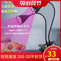 LED plant fill light red and blue clip flower green plant succulent coloring anti-cheat bonsai full spectrum algae burst 220V