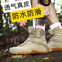 Autumn and winter waterproof cowhide outdoor high-top wear-resistant hiking shoes snow non-slip through mountain shoes men and women black sand color