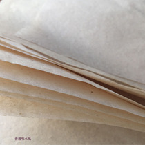 Plant specimen Making suction water paper 45x30cm Raaf specimen making special paper Invoicing