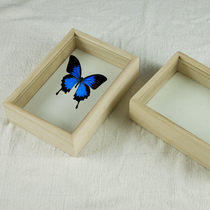21 *14 5 * 5 5 solid wood glass insect specimen box butterfly specimen display box plant specimen box photo frame