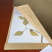 Plant specimen protection kraft paper cover specimen paper bag specimen making preservation of forestry disease bug survey tool