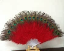 Handmade feather wall home decoration shooting ornaments Prom party props 21 bone peacock fan