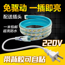 Drive-free outdoor led light Belt super bright waterproof 220V light strip free cutting line decoration self-adhesive living room
