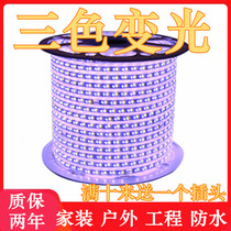 Outdoor light with led ceiling living room home horse RGB super bright waterproof three-color color changing long light bar project 220V