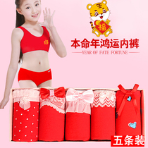 Girls red underwear triangle life cotton 10 red 12-year-old underwear suit belongs to the tigers life