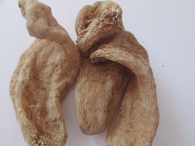 天麻的药用价值