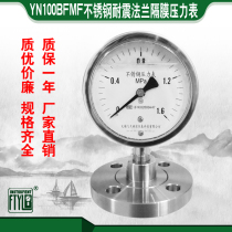 Factory direct FTYLB Wuxi Feitian YN100MF DN25 shock resistant stainless steel flange diaphragm pressure gauge