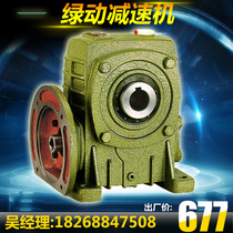 WPDKA100 120 135 155 175 200 250-steel worm gear and worm vertical Reducer