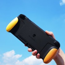 Skull NS Protection Case Nintendo Switch Handle Set Lite Shell Pack NSl Hold Accessories Pack