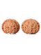 Wenwan Walnut Laishui Palace Jade Seal Lion Head 오래된 나무 일치하는 핸드 플레이트 빨간 남자와 여성 핸드-팔름 Wild Wenwan Walnut Laishui Palace Jade Seal Lion Head 오래된 나무 일치하는 핸드 플레이트 빨간 남자와 여성 핸드-팔름 Wild