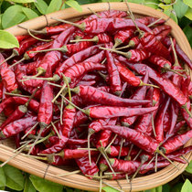 Guizhou specialty Zunyi chili pepper Chaozhou pepper millet seven star pepper finger pepper spicy dry pepper 250g