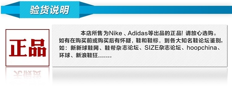 Спортивная обувь Nike 631658-416 631658-417 401 441 Спортивная обувь Nike 631658-416 631658-417 401 441