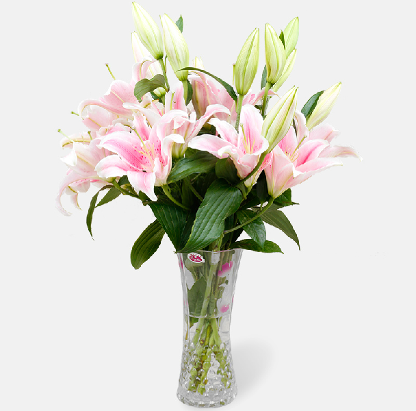 16朵粉/黄/白瓶插花 瓶花花瓶鲜花瓶 全国鲜花速递 百合花瓶花