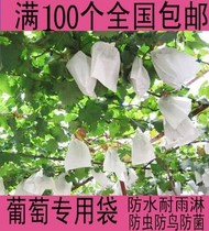 Portuguese bag grape bag bag combination medicine grape bag special Kraft paper bag grape bag transparent breathable