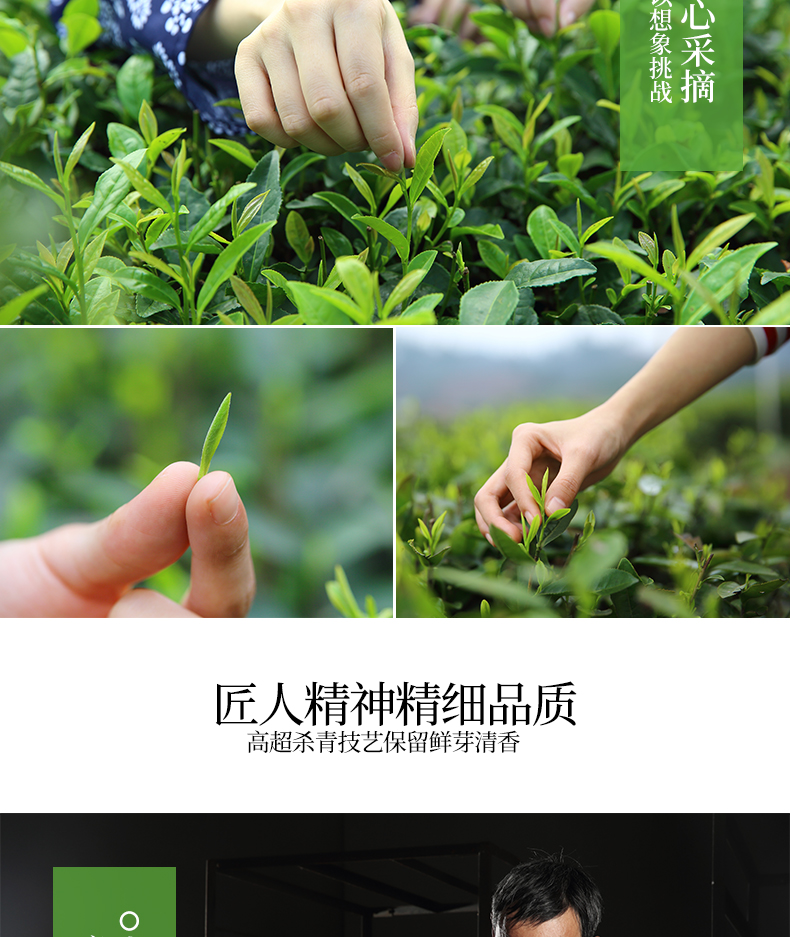 买一送一川红雀舌绿茶四川嫩芽散装共200g