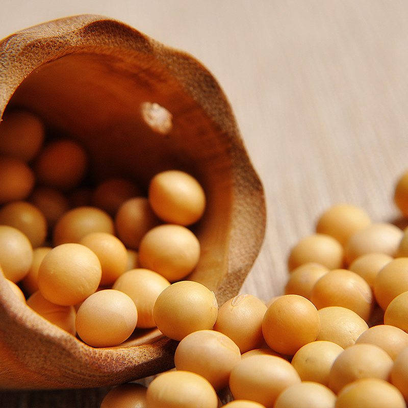 【天猫超市】光明集团跃兴旺自然之子黄豆350g大豆豆浆用杂粮