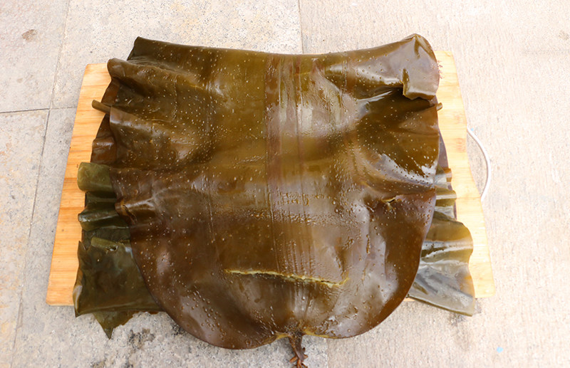 外面会有小泡泡,里面是海带胶质和孢子, 不影响食用哦