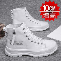 High Help Sail Cloth Shoes Summer New Men Sneakers 8cm Thin stealth Inner heightening mens shoes 10cm Plate Tide Shoes