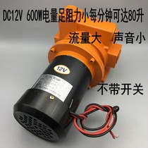 Large flow self-priming diesel pump oil pump electric pump AC220V DC12V 24V car oil pump 600W
