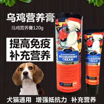 Conditioning Nutritional Kitty Pooch Nutraceutical Cream British Short Gastrointestinal special cream Horizontal Sweep for Weak Supplemental Energy