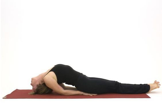 每日一式|鱼式:矫正驼背