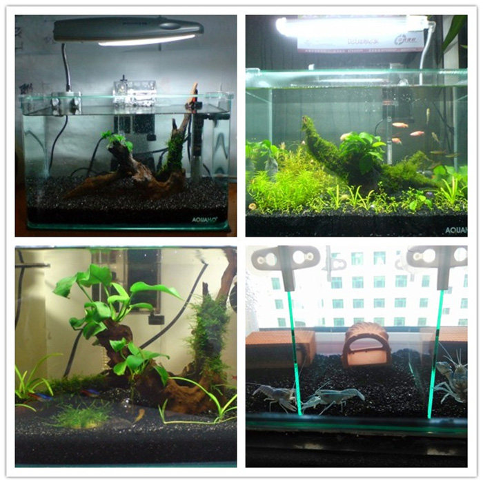 黑金沙金刚砂黑沙子米虾鳌虾孔雀鱼底沙水族箱鱼缸底砂水草砂包邮