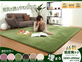 纯色超柔软卧室地毯客厅沙发满铺床边地毯垫