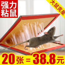 Mouse patch medicine super strong sticky mouse board sticky mouse stick glue big rat paste rat catch rodenticizer Japan 20 home