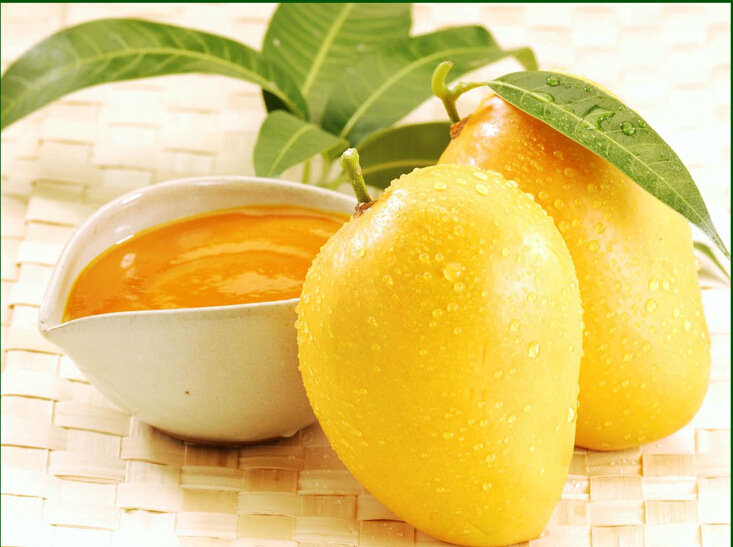 印度进口swad阿方索芒果浆 商用浓缩果汁原浆原料果酱850g