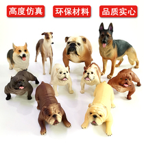 Kindergarten simulation animal toy pet dog model bully Durbin pit bull dog solid childrens toy