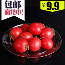 Dish plastic with disposable plastic 10 small disks of transparent circular table crystal dish dish