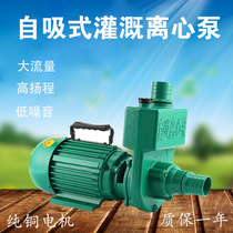 Self-suction centrifugal pump Large-flow large-calibre Irrigation Watering Ground Water Pump for agricultural domestic well Use Pump copper wire motor