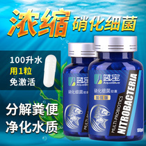 Nitrobacteria Fish Tank Aquarium Concentrated Nitrobacteria Dry Powder Capsules Stabilized Water Quality Aquatic Agents Purify Water Quality