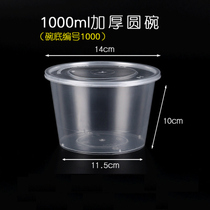 Stout beetle larvae feeding container jars larvae pudding cup beetle unicornfairy Golden Turtle