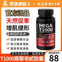 American Musculature Caltrop Sinosatin Testosterone Testosterone Testosterone Testosterone 11 Acid Testosterone Pill Soft Capsule 100 Grain Testosterone